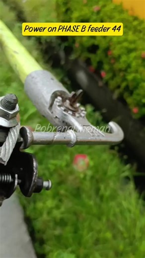 The Life of Electricity Linemen: Challenges and Triumphs