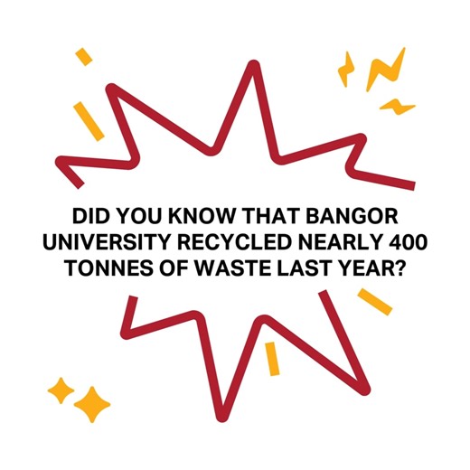 Happy World Recycling Day! ♻️🌍 Did you know that Bangor University recycled nearly 400 tonnes of waste last year? That's a HUGE step towards a greener, more sustainable future! 🌿 To make it easier to understand, we've broken down this massive figure into everyday examples! Join us in celebrating our commitment to sustainability! https://bit.ly/3SYfWRN #WorldRecyclingDay #Bangor25by25 #BangorUniversity 🌱 *The data provided is estimated. | Bangor University