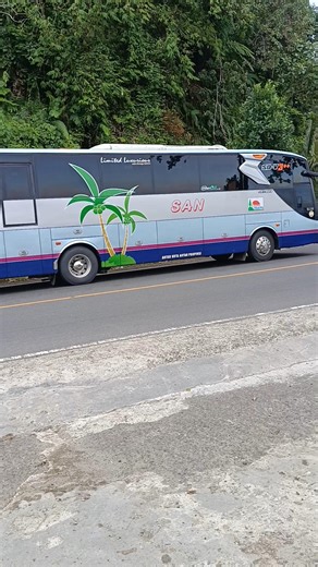 PO SAN Bengkulu - Bukittinggi di Liku Sembilan #mudik2026 #busmania #fyp