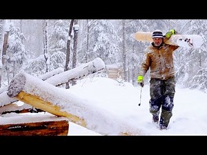 Wilderness Survival with my Dog | Solo Bushcraft, Woodworking Hand Tools, Axe, Log Cabin Loft