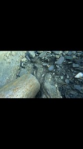 Piece of GOLD on bedrock. I make gold nugget jewelry, and this is how every piece starts, by finding the gold!⚒️🤩🤩⚒️. #goldmining #dredging #goldfever #goldrush #kaylajohanson #thepeekingdoe #goldpaydirt #Alaska #gold #Youtube | Kayla Johanson