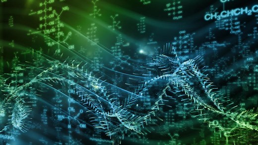 Interdisciplinary Chemical Research | King's College London