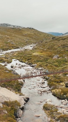 4 days of pure Aussie nature? Sign us up 👏 Traversing through the breathtaking alpine landscapes on and around our highest peak, the all new Snowies Alpine Walk in Visit NSW sure is one for the bucket-list 🥾 Hikers on this epic trail can expect to trek past rugged valleys and snow-capped mountain ranges by day, spotting local wildlife and wildflowers before bedding down each evening in cozy NSW National Parks and Wildlife Service lodges - sounds like our kind of adventure! | 🎥: #NSWNationalPa