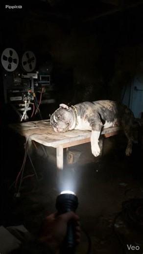 flashlight cutting fabric dulled and stained, seams a loose reflector treand the air feels frozen, a