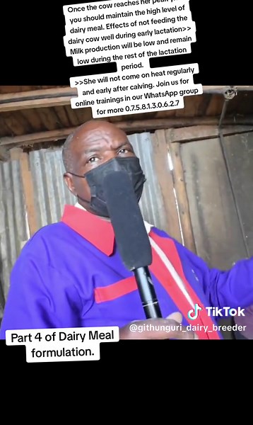 Maintain High Level of Dairy Meal for Peak Yield | Effects of Poor Feeding during Early Lactation