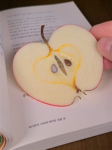 3D펜으로 만든 사과 북마크 만들기