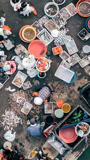 83K views · 191 reactions | #Geoducks can cost up to double the price of Maine lobster at $30 a pound. #seafood #asia | Business Insider | Facebook