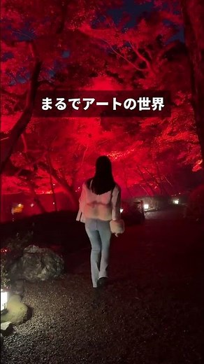 東京の隠れ紅葉スポット⁉️レッドガーデン2024｜八芳園の幻想的な夜景🍁✨