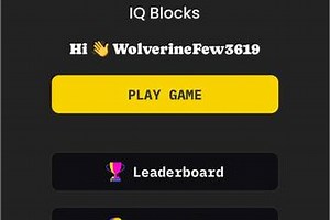 IQ Blocks