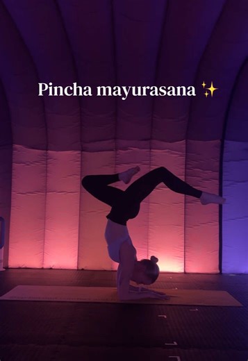 How to get your pincha pose🤸🏼‍♀️ #pinchamayurasana #yogateacherlife #vinyasa #armbalance