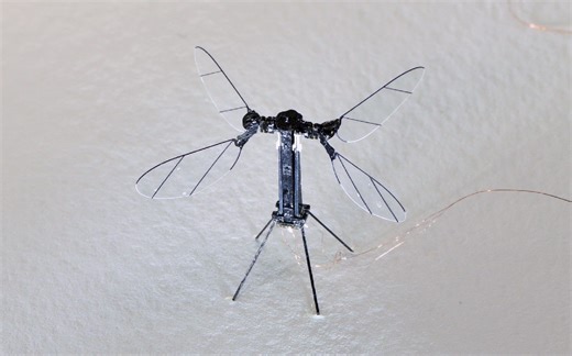 世界最小无人机，蜜蜂大小，无需外部电源就能自主飞行