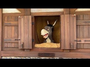 We Met DONKEY At Universal Studios Florida!