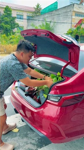 Giao Man San Tien in Cai Tau Ha