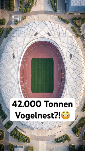 Stahl-Gigant Vogelnest!🇨🇳