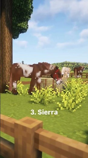 Some of my favorite mustang coats 😍 #minecraft #minecraftmods #swem