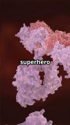 Yellow Fever Vaccine How Effective Is It