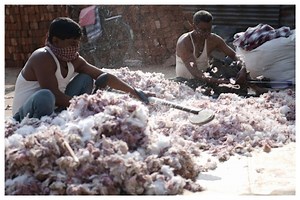 Explained: Why Do Textile And Garment Industries Want Govt To Ban Cotton Export