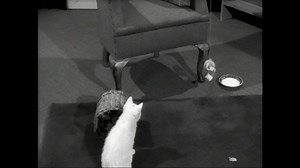 What better time for an interlude of kittens? If you’d like to see more of the classic BBC interludes, you can visit - https://www.bbc.co.uk/archive/interludes/zjkk382 | BBC Archive