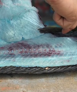 The Insides of this Fish are Blue! 🐟 #catchandcook | Fisherman's Life