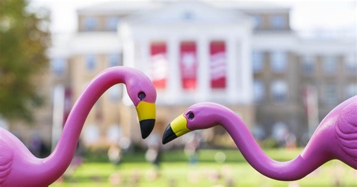 13th annual 'Fill the Hill' at UW-Madison kicks off, raising thousands for student causes in 24 hours