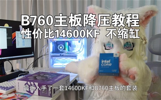 2分钟内解决14600KF缩缸风险，B760主板降压教程