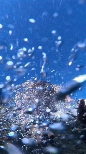 8.2K views · 48 reactions | Wildboy- ten years of adventure therapy....