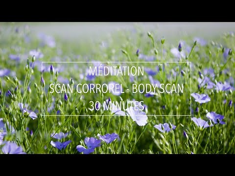 GUIDED MEDITATION IN FRENCH: 30-MINUTE BODY SCAN - CULTIVATE MINDFULNESS