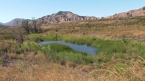 24K views · 242 reactions | Investigating 'Sag Ponds' along the San Andreas Fault in Cajon, California with Chad Keel - --Bonus Footage at the end talks about "Myths and Legends" of a lake sitting right on-top of an active strike slip fault. | Learning Geology | Facebook