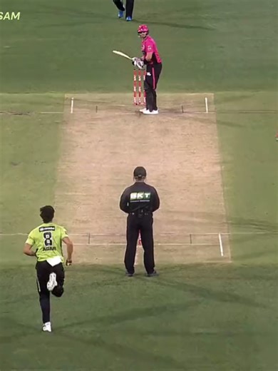 Understanding the Test Player Role in Cricket