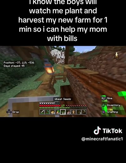 Planting and Harvesting in Minecraft: A New Farm Journey