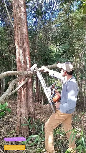 Lashing an Axe to a Chainsaw: Why This Wild Hack Actually Works