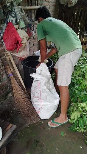 #petanimuda #sobatngaret #masukberandafyp #jawapride #peternak