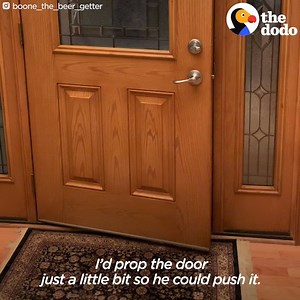 This very nice dog can get you a sandwich and beer 👏 | The Dodo