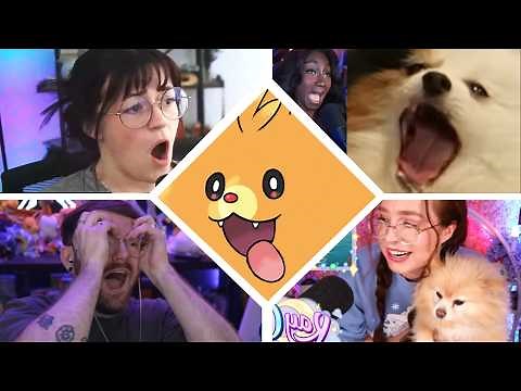 The Internet Reacts to Pokemon Winds and Waves