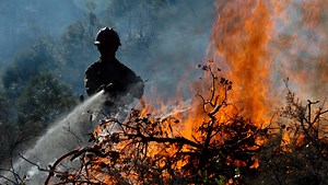 U.S. Forest Service: Fire crews to conduct prescribed burn near Eldorado National Forest