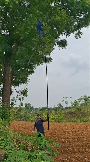 Great, got sugar glider points today #reelsvideo #fyp #trending #viralvideo | Rosi Rosi