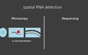 02 Spatial Omics Overview