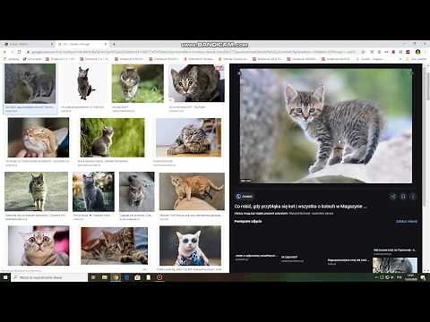 Jak znaleźć id obrazu w roblox?