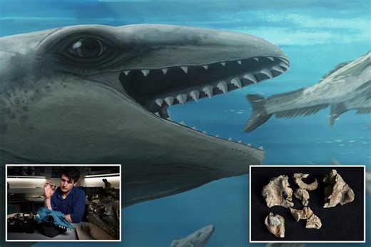 Scientists discover ancient whale with a Pokémon face and a predator bite