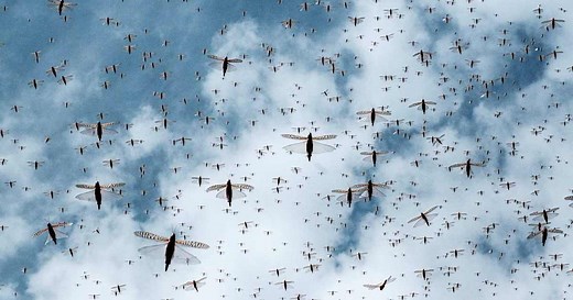 What Caused the 10 Plagues of Egypt? | HISTORY