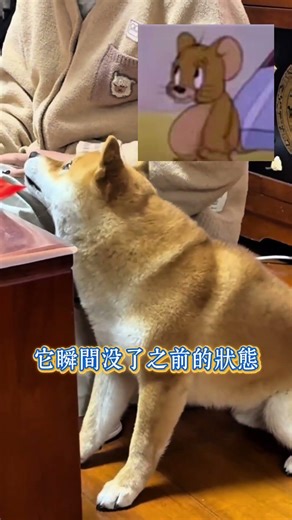 狗仗人勢的具象化