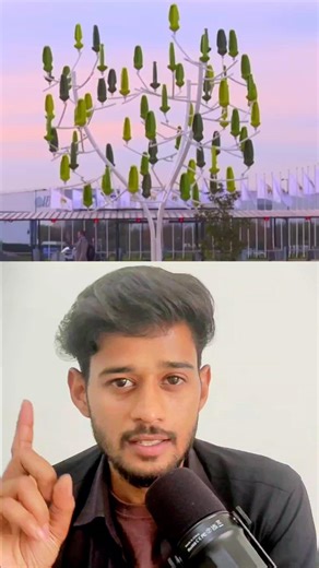 Why This Tree Generates Electricity 💡