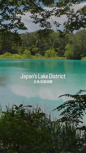 福島県裏磐梯の五色沼湖沼群 Goshikinuma Pond Group in Urabandai, Fukushima #fukushima #福島 #裏磐梯 #五色沼 #urabandai