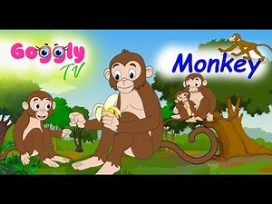Monkey Fun Facts for preschool kids | Animal series | Education and Entertainment