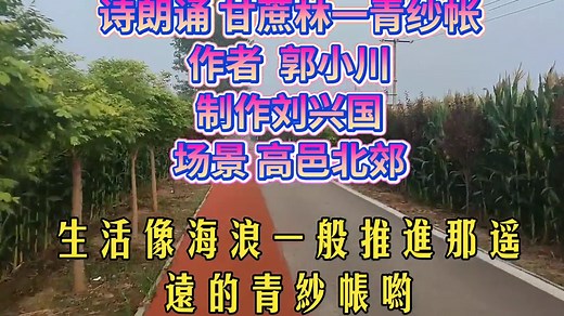 诗朗诵 甘蔗林一青纱帐作者 郭小川制作刘兴国 场景 高邑北郊