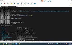 第2讲 scsi设备模拟器scsi_debug