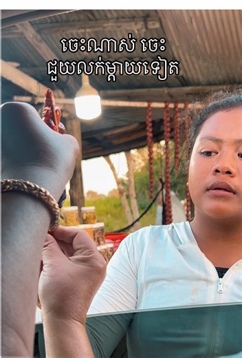 កង្កែបបោក​ ភ្នំតាម៉ៅ