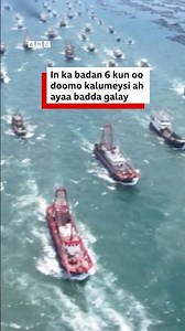 In ka badan 6 kun oo doomo kaluumeysi ah ayaa galay badda koonfurta Shiinaha.