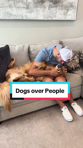Guilty Dog and Golden Retriever Video Compilation