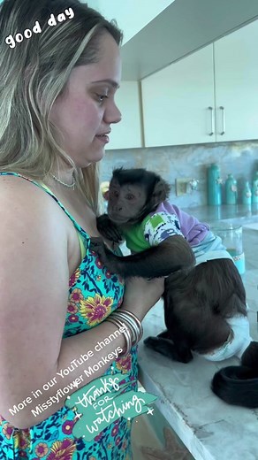 Monkey Toby and his sister….😂😅❤️❤️ MORE IN OUR YouTube channel Misstyflower Monkeys 🤣😂❤️… #love #monkeys #cute #happy #sister #blessed #family #inlove #animals #primates